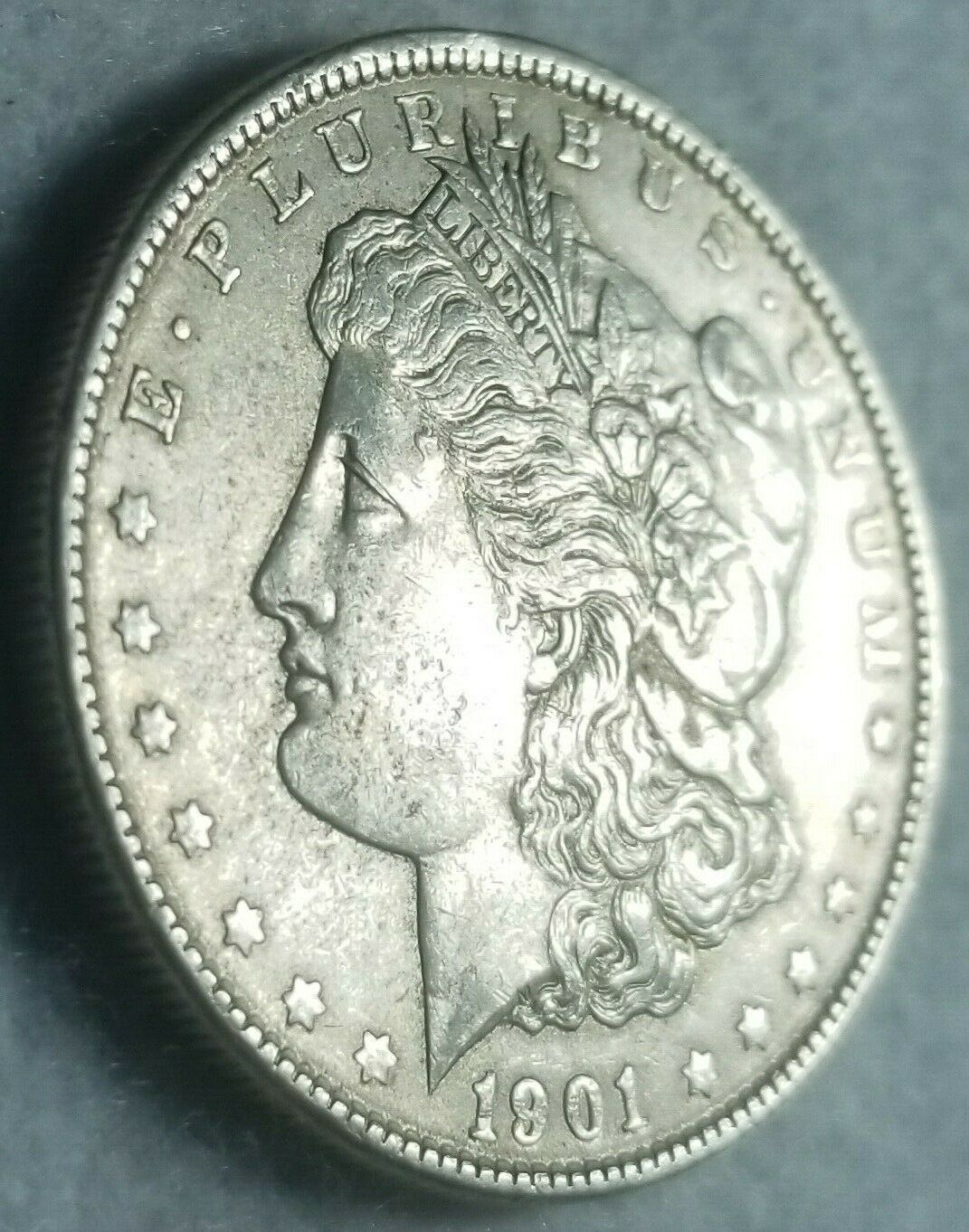 1901-P-Morgan-Silver-Dollar-Grade-Opinions